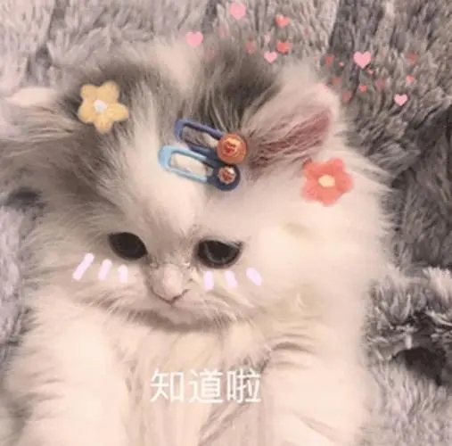 Facebook公共主页如何涨粉？